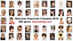 250 стрижек на короткие волосы. Мода 2016.